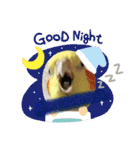 ぷちゃ爺（個別スタンプ：11）