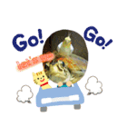 ぷちゃ爺（個別スタンプ：13）
