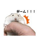 パパ_stamp（個別スタンプ：6）