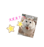 パパ_stamp（個別スタンプ：9）