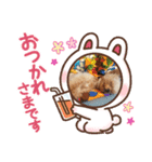 愛犬陸コレクション（個別スタンプ：2）