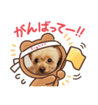 愛犬陸コレクション（個別スタンプ：3）