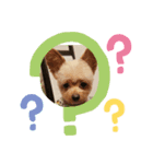 愛犬陸コレクション（個別スタンプ：4）