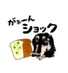 ミニチュアダックスの気ままなランチ25（個別スタンプ：3）