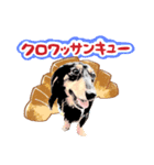 ミニチュアダックスの気ままなランチ25（個別スタンプ：6）