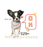 ポッキーちゃん♡スタンプ（個別スタンプ：5）