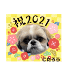 今年も終わり（個別スタンプ：3）