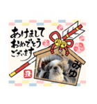 今年も終わり（個別スタンプ：5）