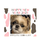 今年も終わり（個別スタンプ：6）
