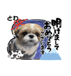 今年も終わり（個別スタンプ：7）