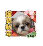 今年も終わり（個別スタンプ：8）