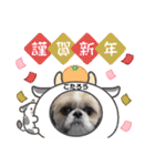 今年も終わり（個別スタンプ：9）