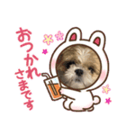 今年も終わり（個別スタンプ：11）