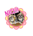 今年も終わり（個別スタンプ：14）