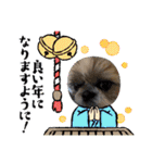 今年も終わり（個別スタンプ：16）