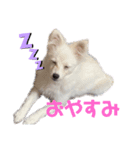 ブランだお（個別スタンプ：3）