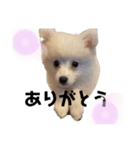 ブランだお（個別スタンプ：6）