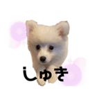 ブランだお（個別スタンプ：8）