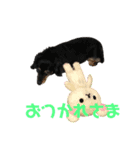 21.ヤマト（個別スタンプ：3）