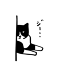 しろくろ猫は白黒分明 (日本語版)（個別スタンプ：5）