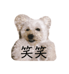 ぱーちゃんの心情（個別スタンプ：6）