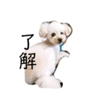 ぱーちゃんの心情（個別スタンプ：7）
