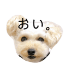 ぱーちゃんの心情（個別スタンプ：8）