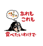 ミニチュアダックスの気ままなランチ26（個別スタンプ：1）