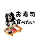 ミニチュアダックスの気ままなランチ26（個別スタンプ：2）