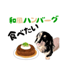ミニチュアダックスの気ままなランチ26（個別スタンプ：7）