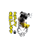 我が家Qooちゃん第二弾♡（個別スタンプ：2）