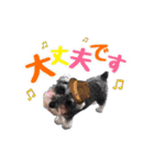 我が家Qooちゃん第二弾♡（個別スタンプ：7）