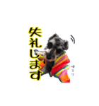 我が家Qooちゃん第二弾♡（個別スタンプ：9）