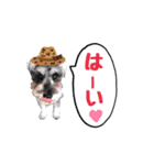 我が家Qooちゃん第二弾♡（個別スタンプ：10）