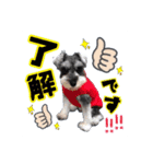 我が家Qooちゃん第二弾♡（個別スタンプ：14）