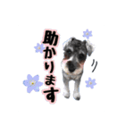 我が家Qooちゃん第二弾♡（個別スタンプ：15）