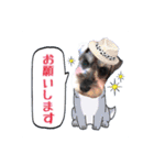 我が家Qooちゃん第二弾♡（個別スタンプ：16）