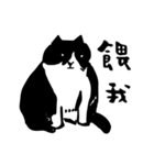 しろくろ猫は白黒分明 (台湾版)（個別スタンプ：15）