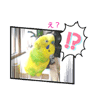 おまちゃんの日常♪（個別スタンプ：4）