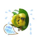 おまちゃんの日常♪（個別スタンプ：12）