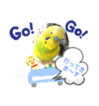 おまちゃんの日常♪（個別スタンプ：13）