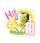 おまちゃんの日常♪（個別スタンプ：14）