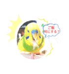 おまちゃんの日常♪（個別スタンプ：17）