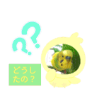 おまちゃんの日常♪（個別スタンプ：20）