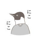 ペンギン人間（個別スタンプ：5）