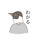 ペンギン人間（個別スタンプ：6）