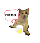 こたてつ（個別スタンプ：4）
