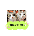 こたてつ（個別スタンプ：5）