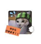 こたてつ（個別スタンプ：6）