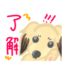 シューデッドダックスちゃん（個別スタンプ：1）